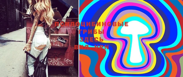 ПСИЛОЦИБИНОВЫЕ ГРИБЫ Белокуриха