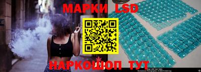гидропоника Пенза