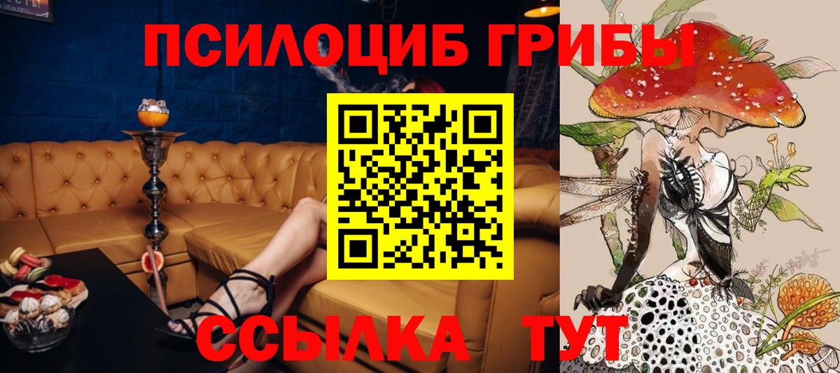 Галлюциногенные грибы прущие грибы Острогожск