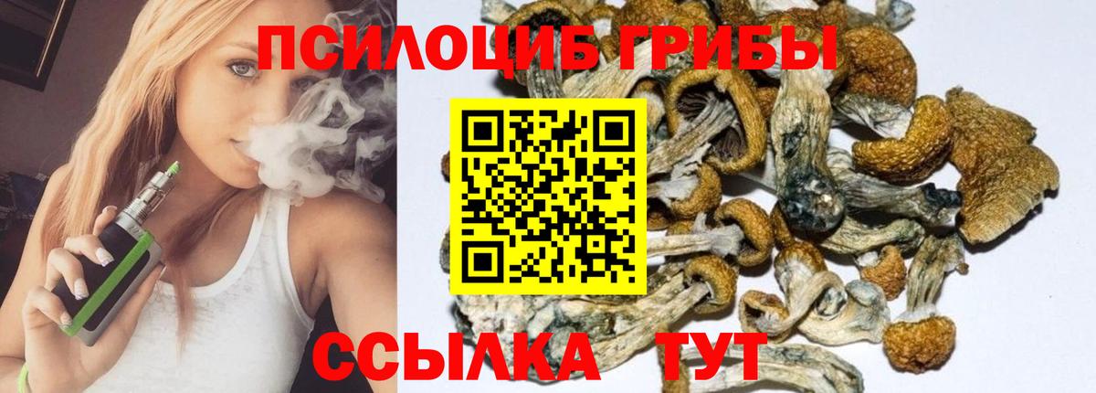 Псилоцибиновые грибы Psilocybe  Вход с VPN  Острогожск 